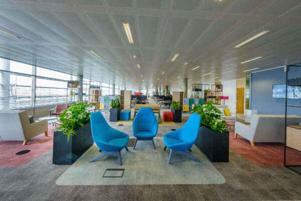 Bright, open office with three blue accent chairs, potted plants, and distant workstations.